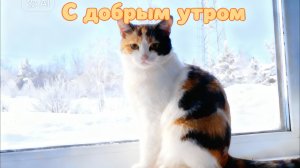 Доброе утро!!!