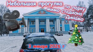 Немного прогулки в парке 3 января 2026 г