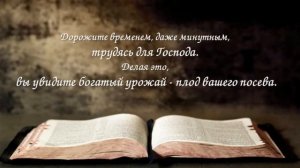 Бьют часы_ отчитывают время