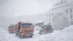 С улиц Петербурга вывезли 18 тонн снега, тысячи дворников борются с последствиями снегопада