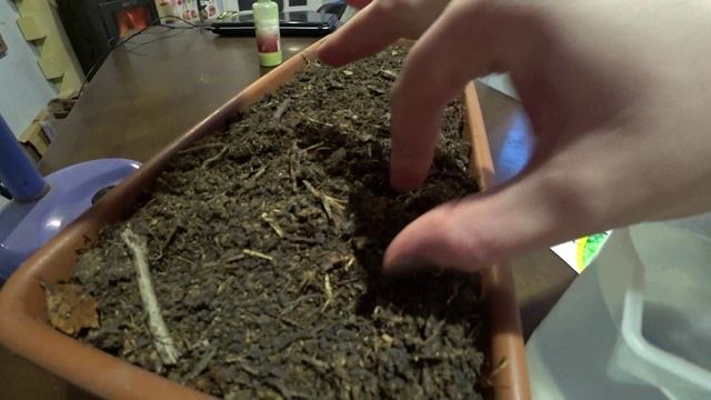 Первые посевы этого года смотреть онлайн