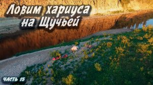 #15 Ловим хариуса на  Щучьей  | Северный Тиман 2025