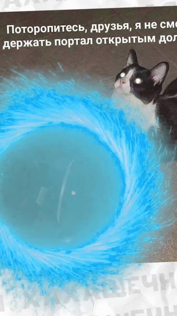 Засмеялся? Подпишись! смотреть онлайн