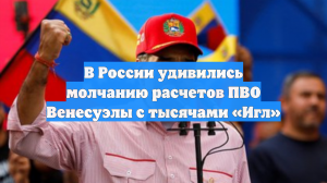 В России удивились молчанию расчетов ПВО Венесуэлы с тысячами «Игл»