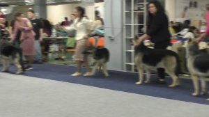 Сравнение на ЛЮ и ЛПП