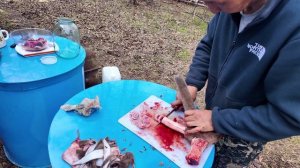 Приготовление настойки из пантов изюбря. Не для продажи, просьба не просить🙏