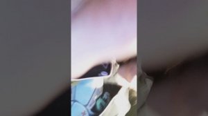 всем привет ребята 1 видео с Маюшаи ✌️