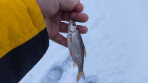 Лёд 2026 - день второй