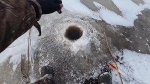 Зимняя рыбалка открытие. Устье реки Волхов. Рыбка клюет.