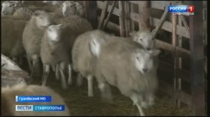 «Вести. Ставропольский край» 3.01.2026 (14:30)