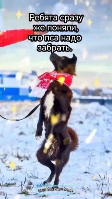 Услышь меня