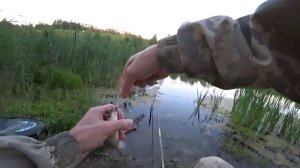 Ловля карася на светящийся поплавок ночью. Рыбалка на маховую удочку.