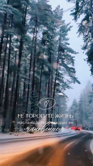 Жизнь смотреть онлайн