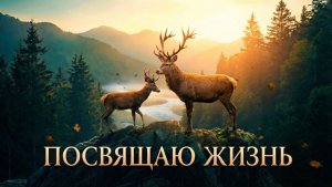 Как лань желает к потокам воды | Посвящаю жизнь – Христианский клип