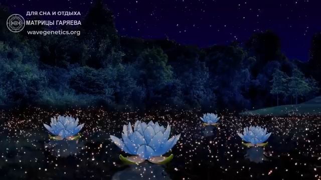 Матрица Гаряева - Для сна и отдыха #гаряев #матрицагаряева #матрицыгаряева (360p).mp4 смотреть онлайн