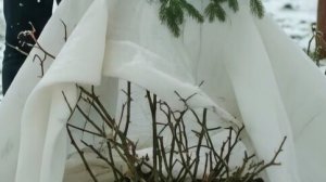 ПЕРВЫЙ СНЕГ. НЕ ДАЮ МУЖУ ОТДОХНУТЬ, ВОЗМУЩАЕТСЯ