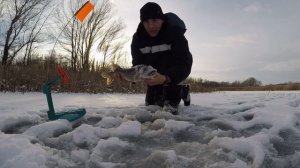 РЫБАЛКА НА ЖЕРЛИЦЫ ОТ ПЕТРОВА.РОСТОВСКАЯ ОБЛАСТЬ КАШАРСКИЙ РАЙОН