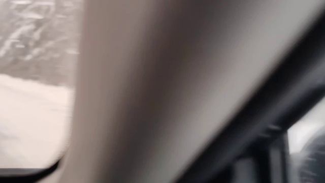 Зимний лес 🌲🌲🌲 смотреть онлайн