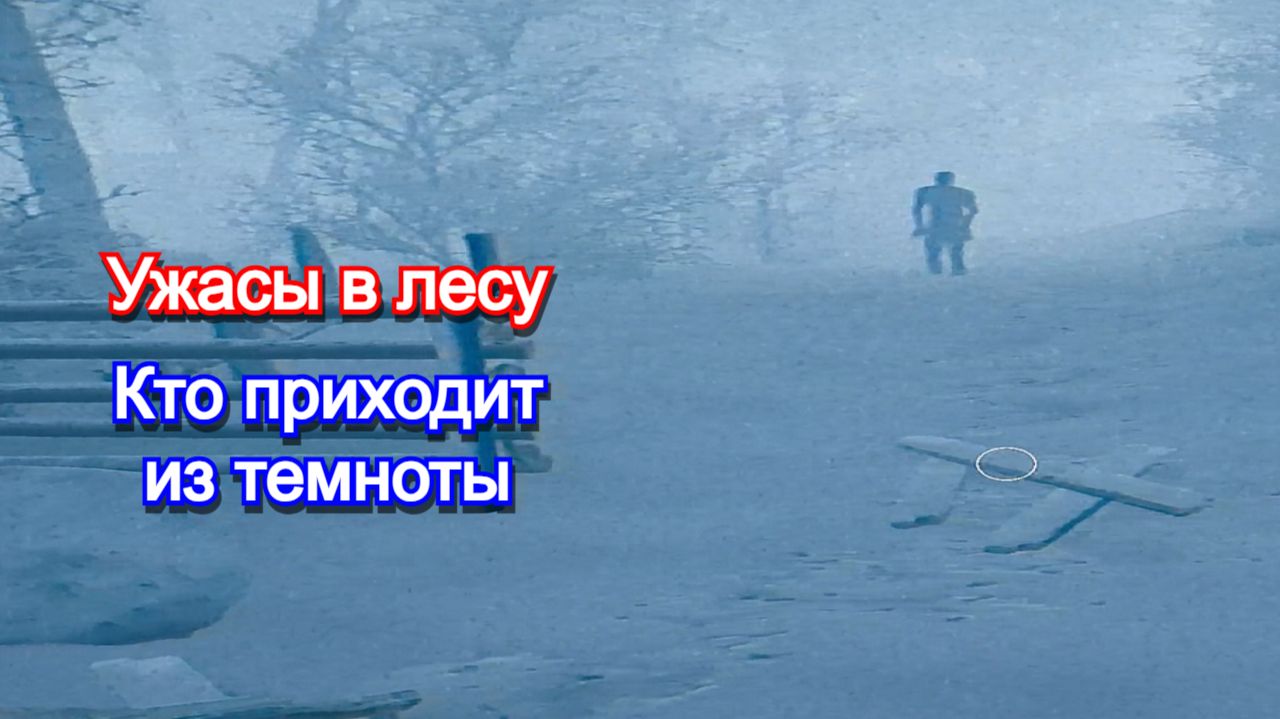 Кто живёт в тёмном лесу😈Terrors to Unveil - Day Off