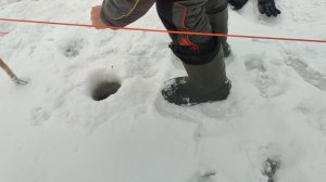 video5389019311673213937