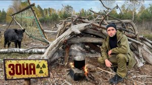 В Чернобыльскую Зону Ловушка на кабанов Шок сколько попалось [get.gt]