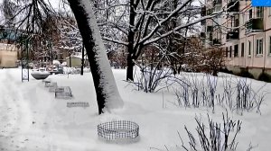 Снежно во дворе...