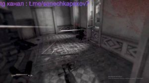 Стрим общение Live с подписчиками