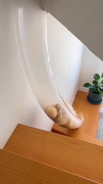 Котожидкость смотреть онлайн