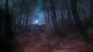 У каждого в жизни своя стёжка.