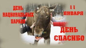 11 января День Спасибо и День Национальных парков и заповедников