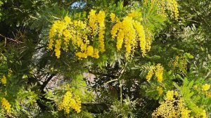 2 января 2026. С Наступившим Новым годом!