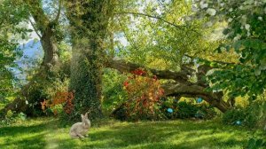 125747-735655977_medium