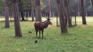 коротко о главном