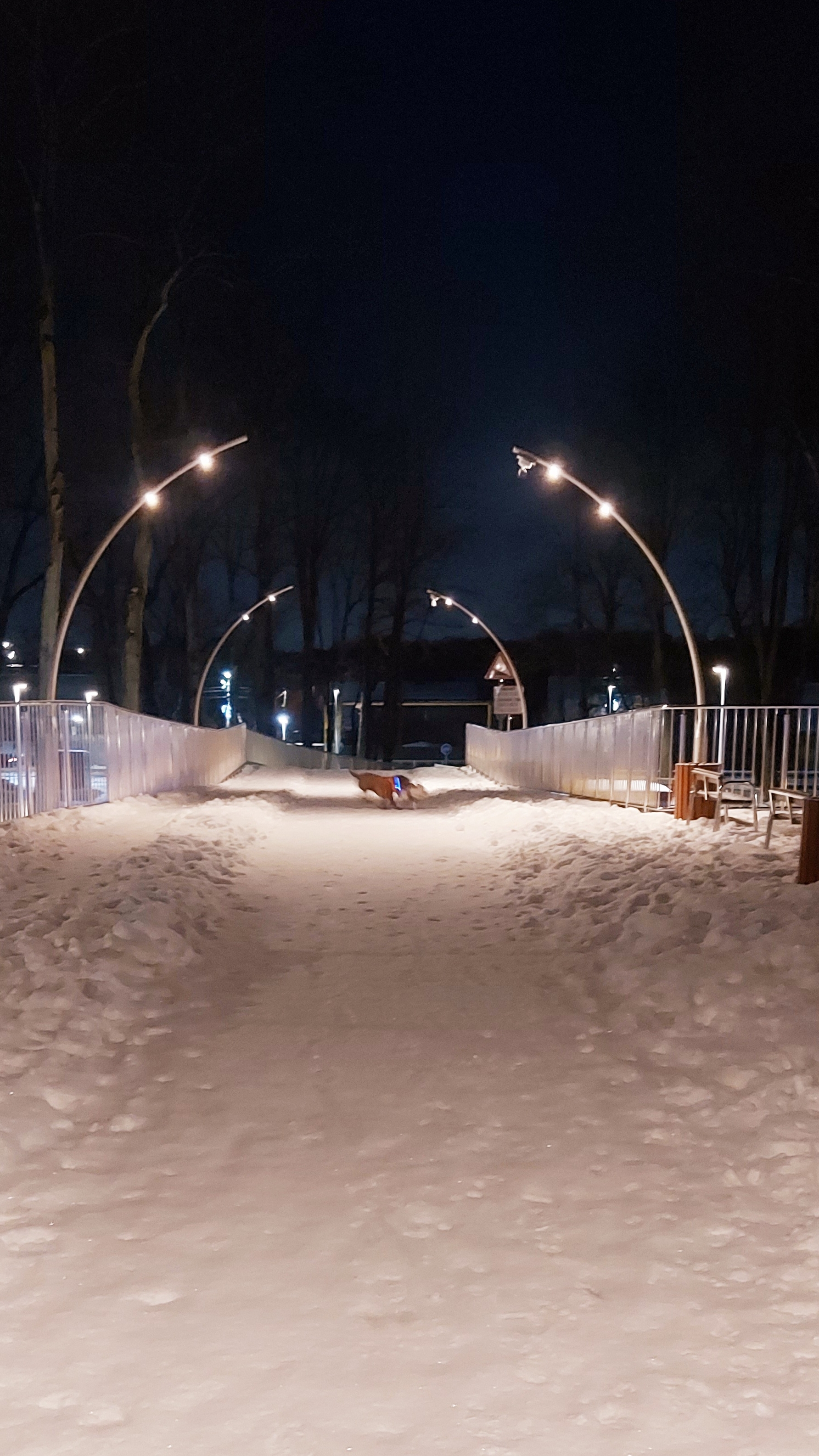 Новогоднее утро собачника начинается рано❄️🎅🐕🦺 смотреть онлайн