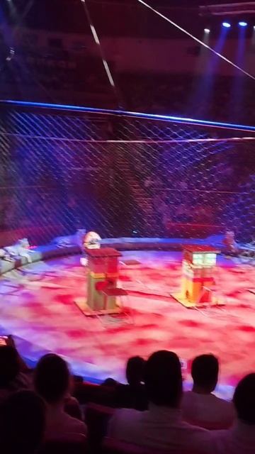 Аскольд Запашный стойкий оловяный солдатик.  Брянск смотреть онлайн