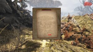 КАРТА СОКРОВИЩ ГРИБНАЯ РАВНИНА...  ГДЕ ИСКАТЬ? PIONER