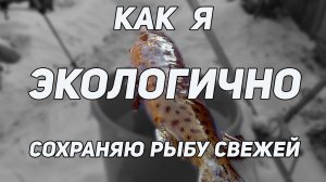 Рыбалка: Как я ЭКОЛОГИЧНО сохраняю рыбу СВЕЖЕЙ. Таёжная хрустальная глазурь без холодильника и химии