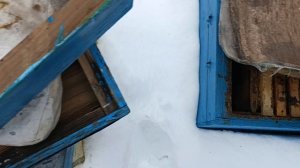 Зимовка пчёл 🐝 3 января