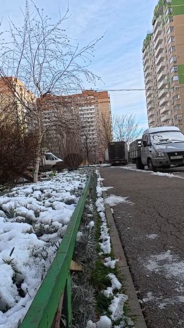 Йорк Бося Краснодарский 1 янв 2026