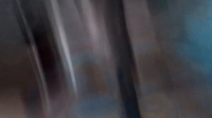 ВидеоБлог кота