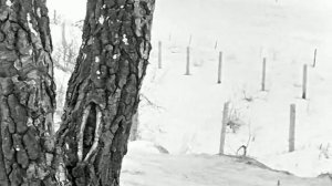 1969 год. Тюмень. Зарека.