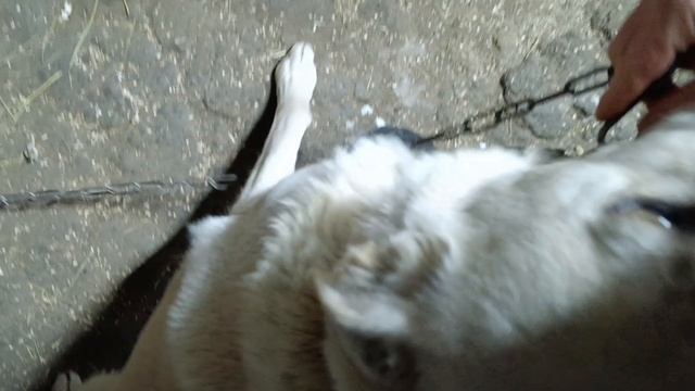 Салют и на нашей улице смотреть онлайн