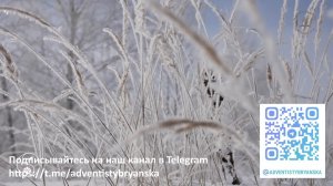 Субботнее богослужение 03.01.2026 // По сердцу Божьему. // Кожин Роман // адвентисты Брянска