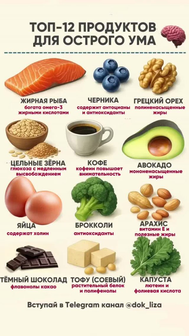 здоровое питание для мозга и концентрации
