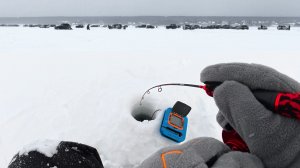 Ловля судака зимой. На вибы ПО ГРАНИ толпы. Зимняя рыбалка на ОВХ. База Ваш Дом