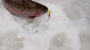 Блёсны, раттлины, моргалки. Нижний пруд. Клёвое место Лосиный остров.