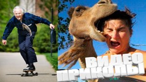 ВИДЕОПРИКОЛЫ \ КРУТЫЕ ПРИКОЛЫ 2025 \ НОВЫЕ ПРИКОЛЫ \ СМЕШНЫЕ ПРИКОЛЫ 2025 ЮМОР