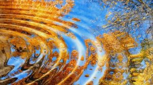 "ЗАКОЛДОВАННЫЙ КРУГ" Любовь Пузикова-музыка и монтаж, СБОРНИК №2 ,22 видеоклипа песен шансона