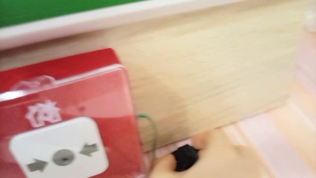 тест на ИПР 513-10