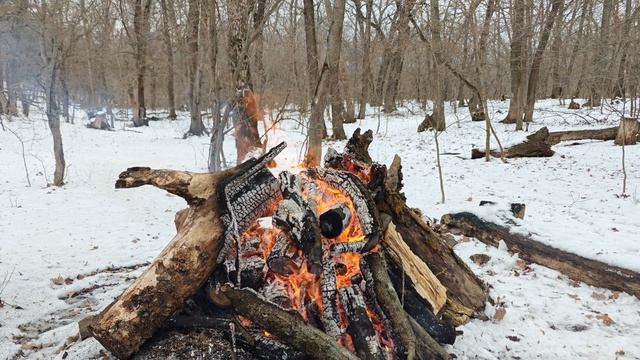 Зимний лес и великолепный костер! смотреть онлайн